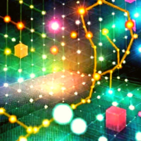 Tín hiệu giả hay thật? Khi 'gấu yếu' trên NEAR, XRP, SHIB, DOGE chỉ là ảo ảnh